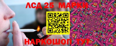 jwh Бийск
