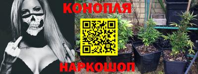 прущий лед Будённовск