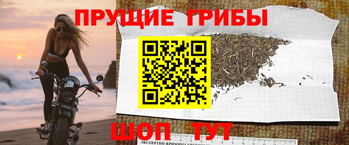 Псилоцибиновые грибы мухоморы Берёзовский